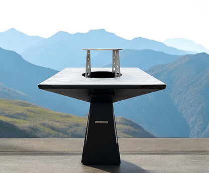 Barbecue Torcia verniciato con piano cottura INOX